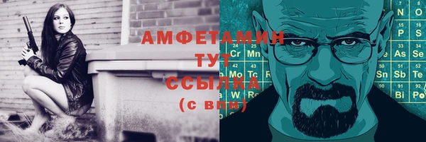 соль ск Дмитров