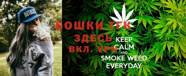 соль ск Дмитров