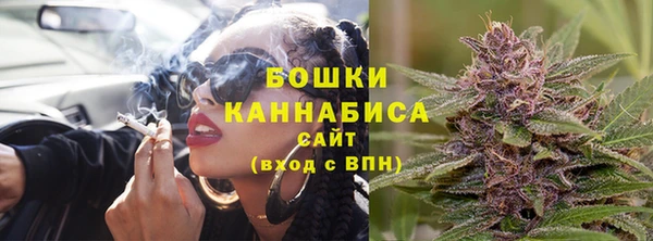 соль ск Дмитров